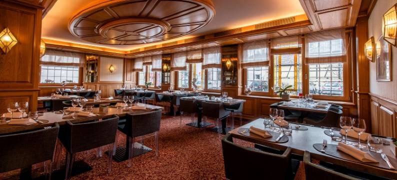 Best Western Plus Au Cheval Blanc Mulhouse Nord图片