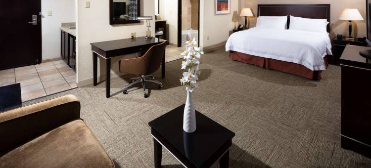 南拉斯维加斯欢朋酒店(Hampton Inn & Suites Las Vegas South)图片