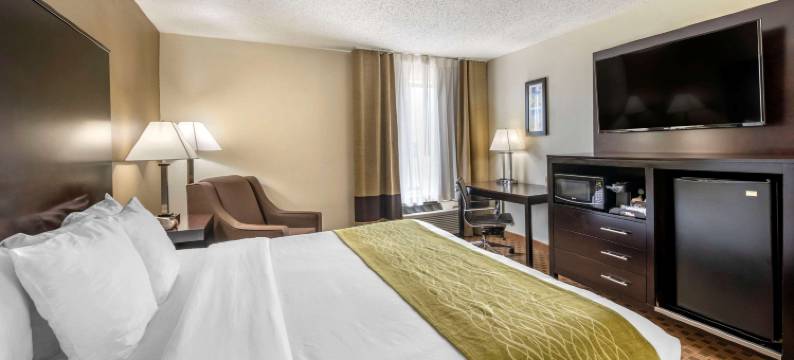 印第安纳波利斯东舒适酒店(Comfort Inn East)图片