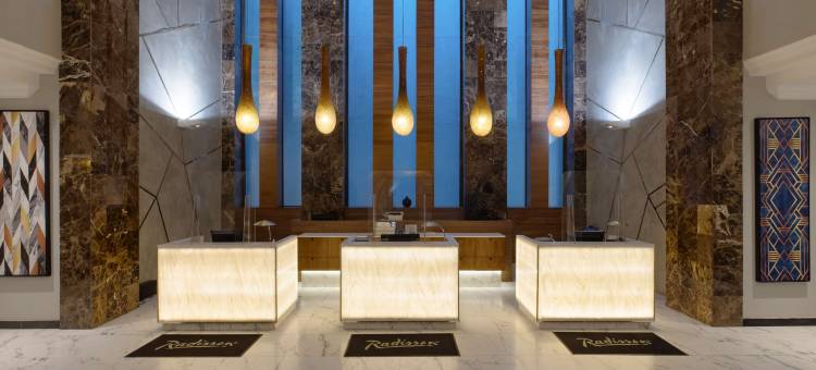 拉各斯伊凯贾丽筠酒店(Radisson Hotel, Lagos Ikeja)图片