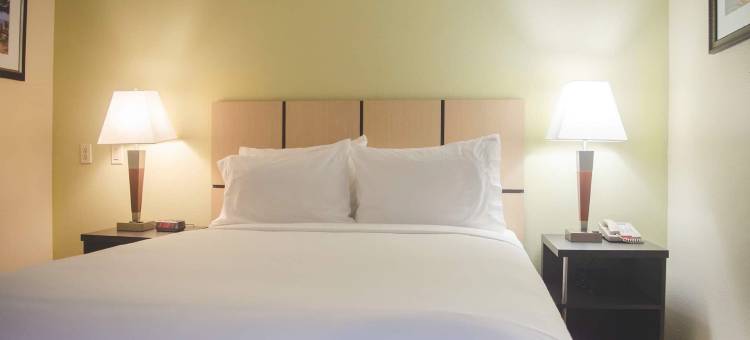 Candlewood Suites 休斯顿医疗中心 by IHG(Candlewood Suites Houston Medical Center)图片