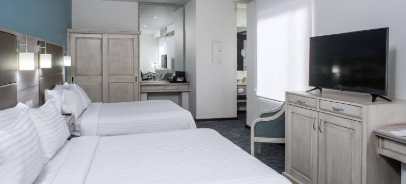 Holiday Inn & Suites 墨西哥城索娜罗莎(Holiday Inn & Suites MEXICO ZONA REFORMA by IHG)图片