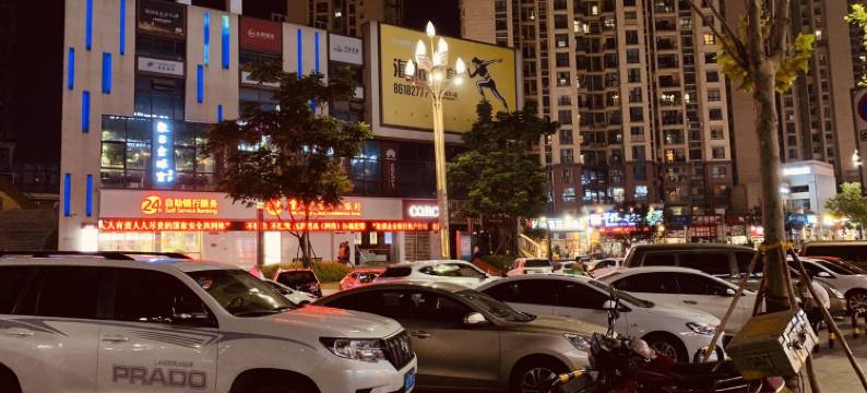 蓝锦鲤Loft小家公寓(蟠兴路1号分店)图片