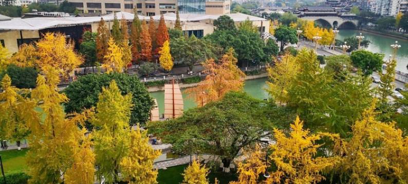 花俏民宿(天仙桥南路分店)图片