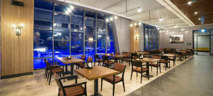 埃尔西耶斯山丽笙酒店(Radisson Blu Hotel, Mount Erciyes)图片