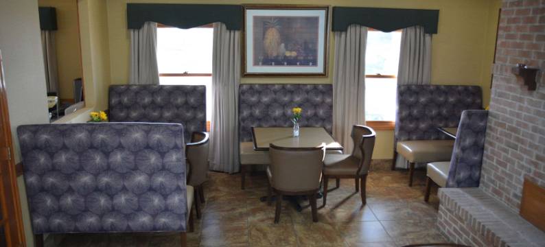 都柏林品质套房酒店(Quality Inn & Suites Dublin)图片