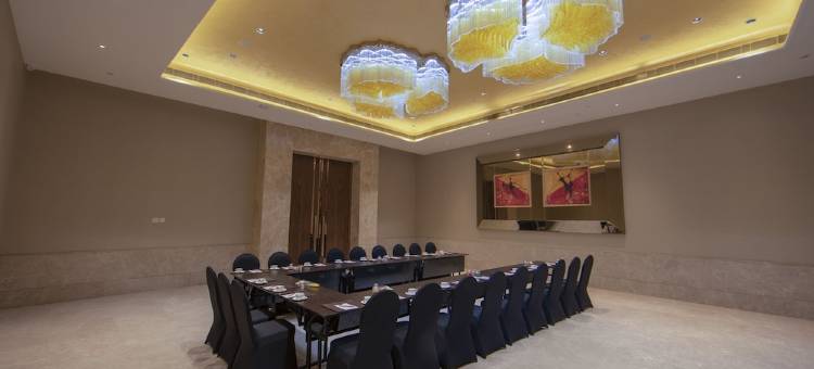 高仑萨洛瓦尔首映(The Gaurs Sarovar Premiere)图片