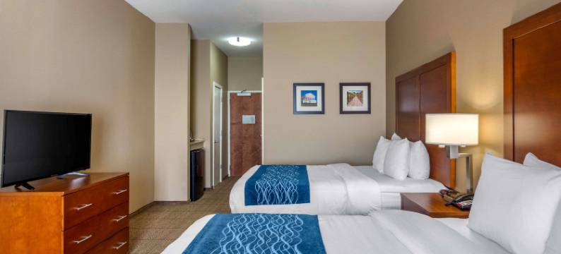 南切斯特菲尔德-科隆尼尔海次舒适酒店(Comfort Inn South Chesterfield - Colonial Heights)图片