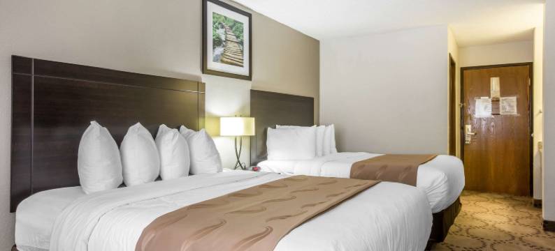 南亚特兰大斯托克布里奇品质酒店(Quality Inn Stockbridge Atlanta South)图片