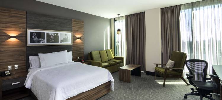 希尔顿花园酒店-阿瓜斯卡连特斯(Hilton Garden Inn Aguascalientes)图片