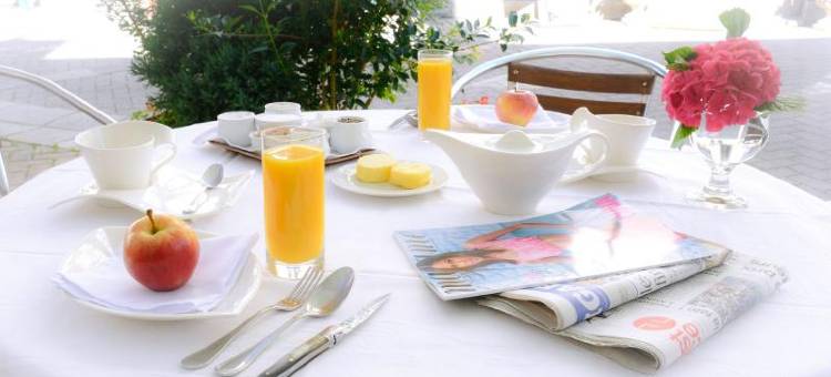 海豚酒店(Logis Hôtel et Restaurant du Dauphin)图片