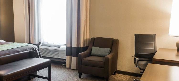 舒适酒店及套房(Comfort Inn & Suites Pharr/McAllen)图片