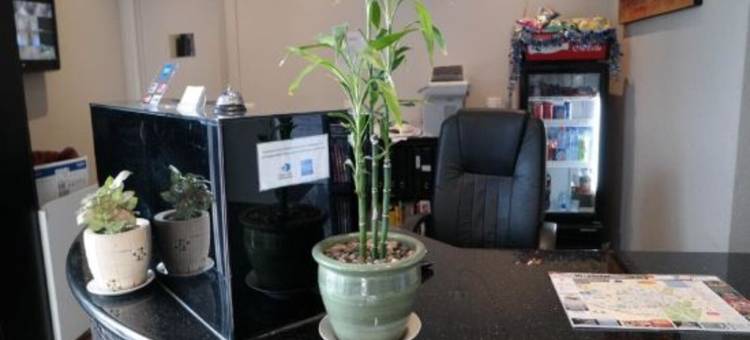 帕克维尔服务式公寓(Parkville Place Serviced Apartments)图片