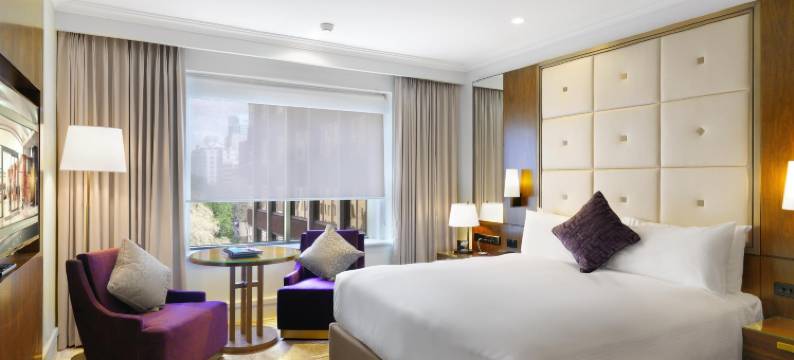 悉尼阿莫拉吉姆森酒店(Amora Hotel Jamison Sydney)图片