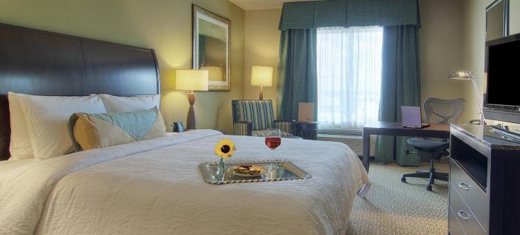 休斯顿皮尔兰希尔顿花园酒店(Hilton Garden Inn Houston-Pearland)图片