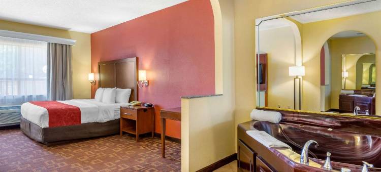 舒适套房酒店-近商业街(Comfort Suites - Near the Galleria)图片