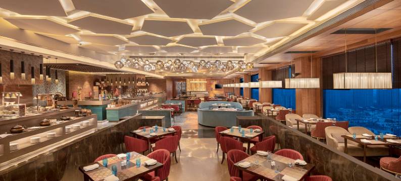 德里NCR-卡萨比塔丽笙蓝标酒店(Radisson Blu Towers Kaushambi Delhi NCR)图片