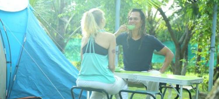 Munroe Eco Camp图片