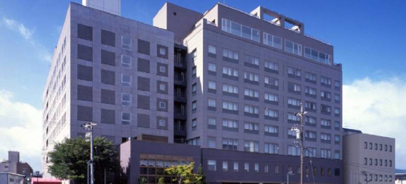 飞驒广场酒店(Hida Takayama Onsen Hida Hotel Plaza)图片