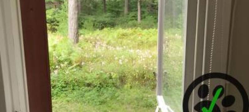 维斯堡/拉夫哈根旅舍(STF Hostel Visby/Rävhagen)图片