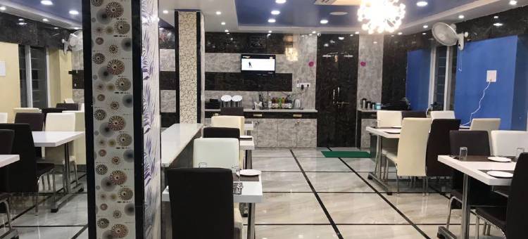 杰坦加利国际酒店(Hotel Geetanjali International)图片