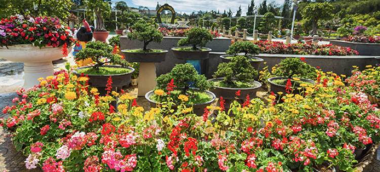 Capital O 1208 Phong Van Villa - 丰万别墅(Capital O 1208 Phong Van Villa)图片