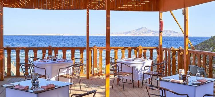 帕罗特尔海滩度假村(Parrotel Beach Resort)图片