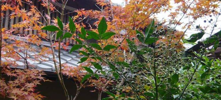 御宿开花亭日式旅馆(Oyado Kaikatei Ryokan)图片