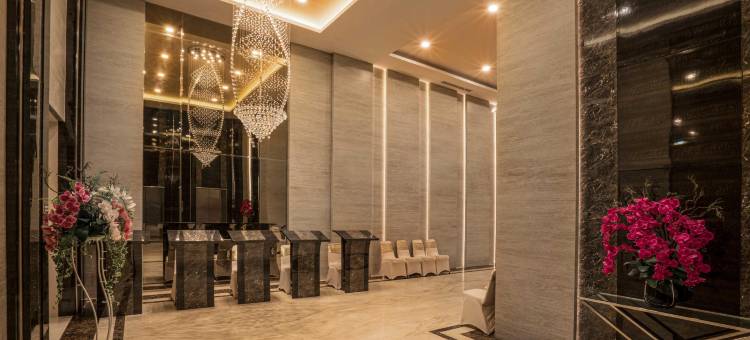 高级酒店(Star Hotel)图片