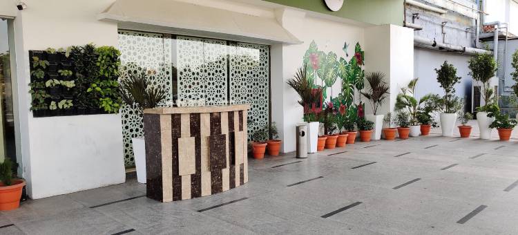 太平洋购物中心绿棕榈酒店(Green Palms Hotel Pacific Mall)图片