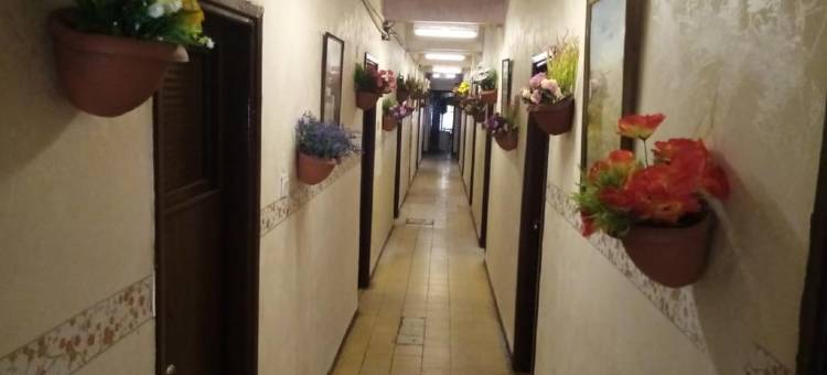 山崖青年旅馆(Cliff Hostel)图片