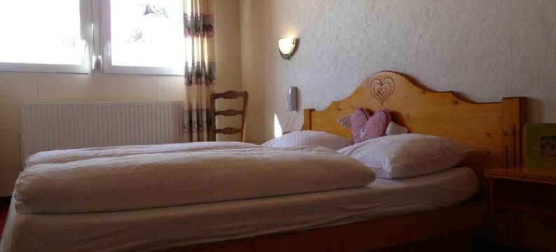 小旅馆酒店(Logis Hôtel Restaurant la Petite Auberge Alsace)图片