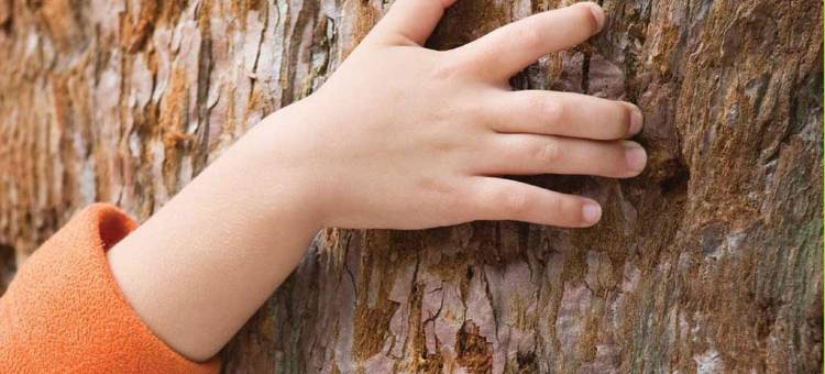 瓦朗斯北部普瑞米尔经典酒店-布尔格莱瓦朗斯(Premiere Classe Valence - Bourg les Valence)图片