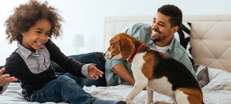 巴黎巴士底里昂车站馨乐庭公寓酒店(Citadines Apart'hotel Bastille Gare de Lyon Paris)图片