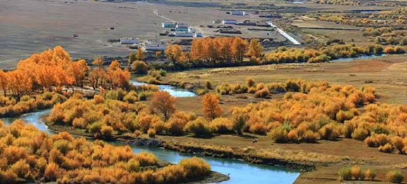 青河锦河酒店图片