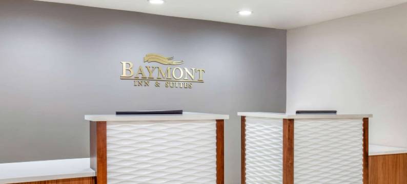 麦克多诺温德姆呗盟酒店(Baymont by Wyndham McDonough)图片