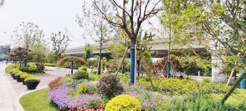 梅老师公寓(政本路分店)图片