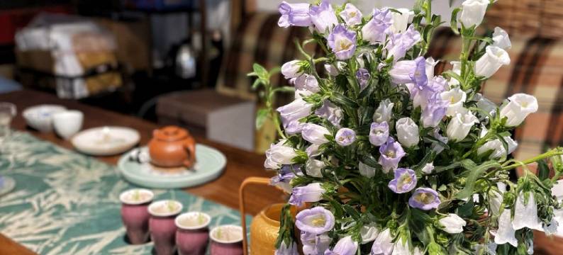 束河宜宿精品民宿(鹿苑路2号分店)图片