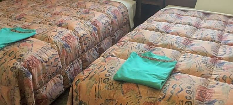 新居滨山酒店(Hotel Niihama Hills)图片