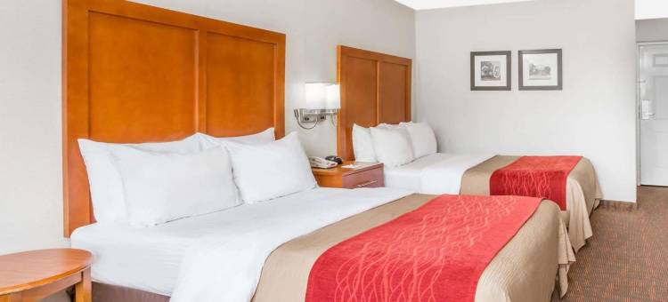 威廉斯堡历史区戴斯酒店(Days Inn by Wyndham Williamsburg Historic Area)图片