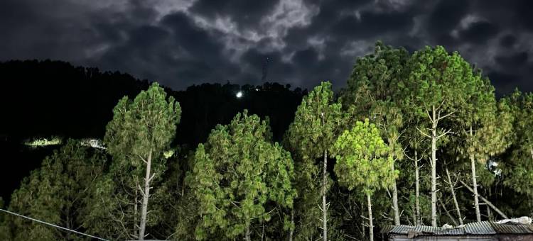 Hotel Maheshwari & Banquet Hall图片