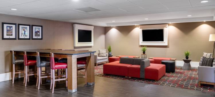 明尼阿波利斯机场美国购物中心福朋喜来登酒店(Four Points by Sheraton Mall of America Minneapolis Airport)图片