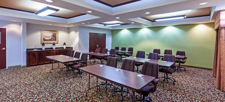 智选假日套房酒店阿马里洛东 by IHG(Holiday Inn Express & Suites Amarillo East)图片