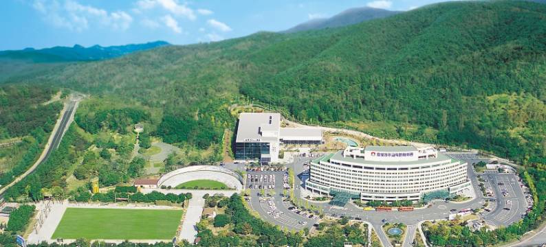 庆州K酒店(The K Hotel Gyeongju)图片