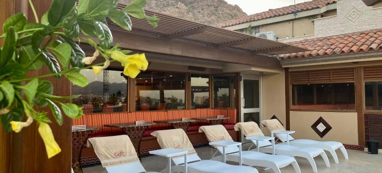 卡波维斯塔酒店(限成人)(Cabo Vista Hotel Adults Only)图片