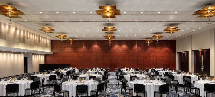 开普敦威斯汀大饭店(The Westin Cape Town)图片