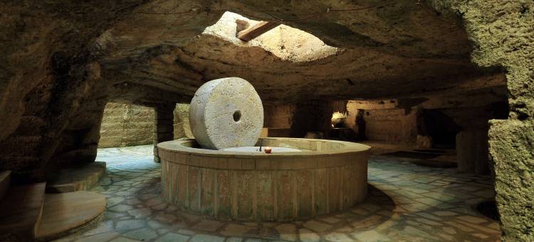 伊尔特拉佩托农家乐(Agriturismo Il Trappeto)图片