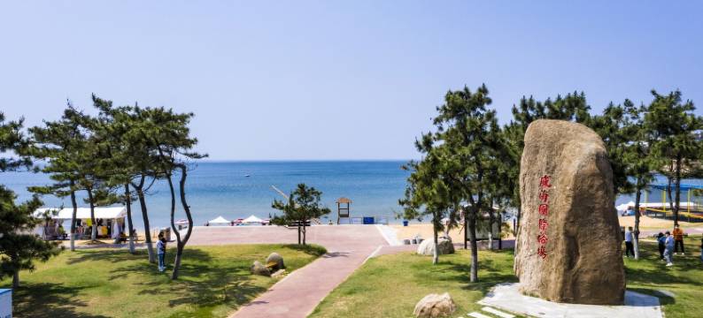 百合花海景民宿(沈阳路1号分店)图片