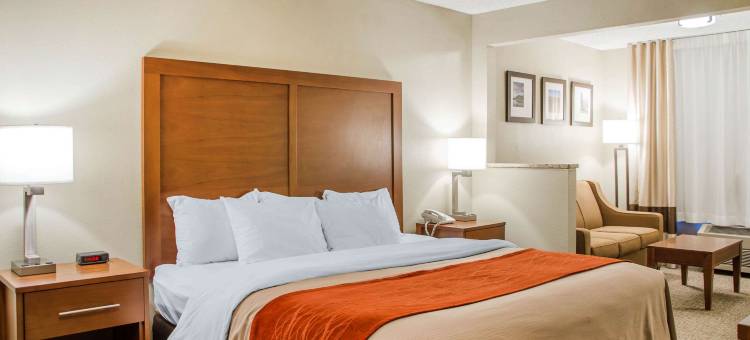 舒适酒店(Comfort Inn)图片