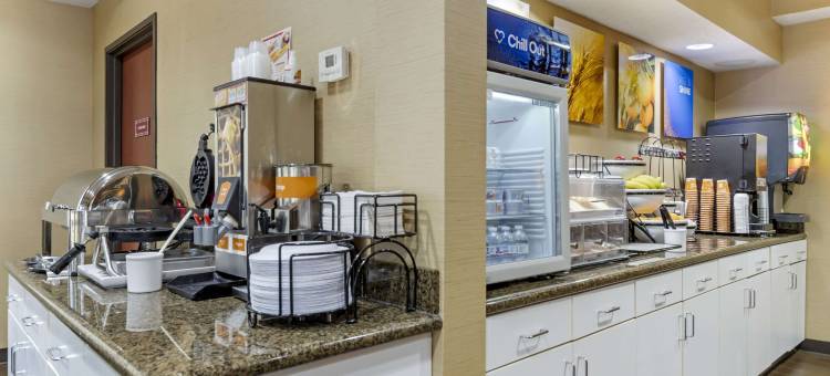 斯格恩舒适酒店和套房(Comfort Inn & Suites)图片